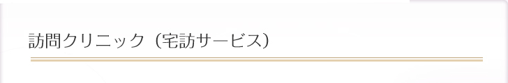 訪問クリニック（宅訪サービス）